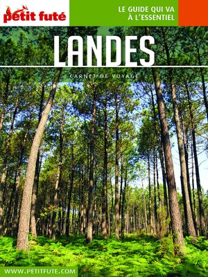 cover image of Landes 2020/2021 Petit Futé